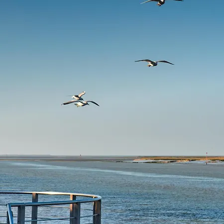 La Belle Picarde, Centre Valery Sur Somme * سانت فاليري سور سوم